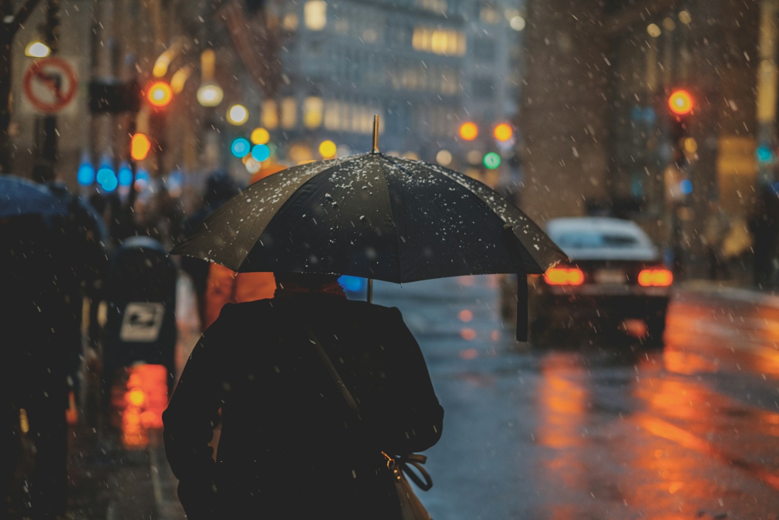 雨の匂いの科学